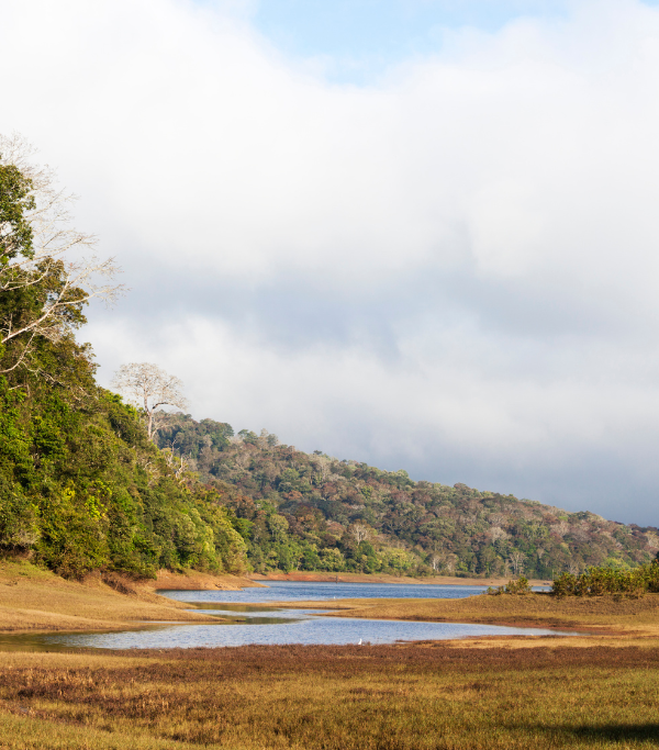 Wildlife & Nature (1)