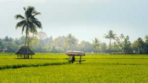 Kerala Tour Packages from Pune with Price