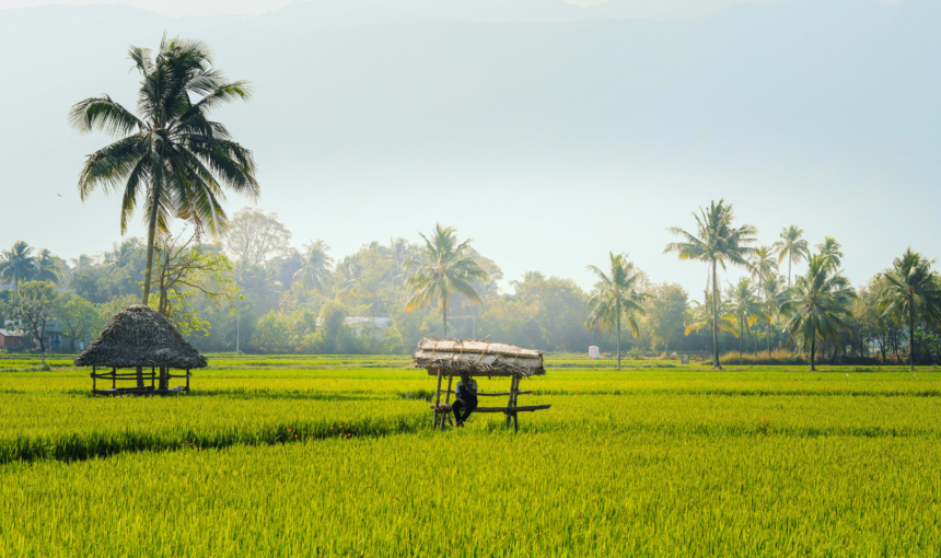 Kerala Tour Packages from Pune with Price